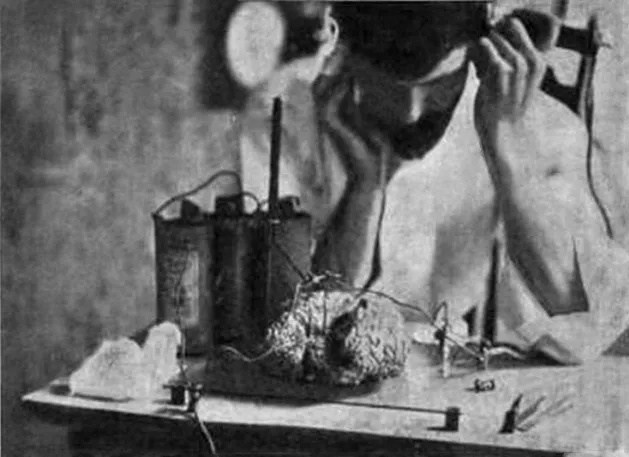 Frequency, Fear, and Physiology: What Sound Does to Your Body Below the Level of Conscious Thought