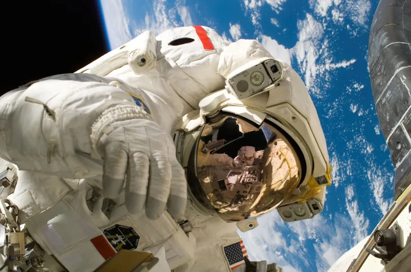 Life Without Gravity: What Astronauts' Failing Bodies Teach Us About the Fight You Never Feel